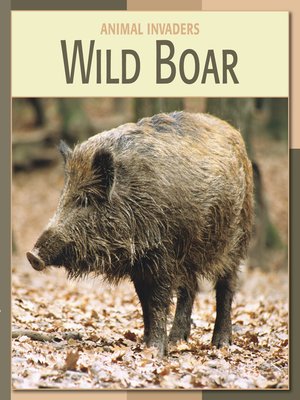 cover image of Wild Boar